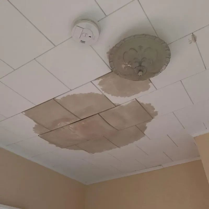 Ceiling Water Damage Repair in Napoleonville, LA