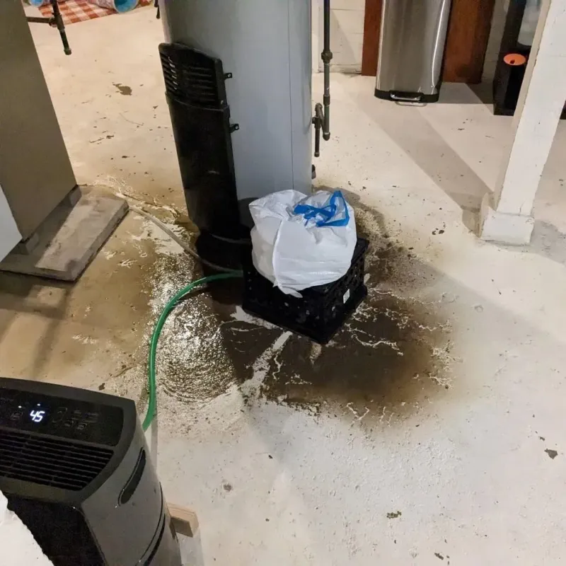 Sewage Backup Cleanup Service in Napoleonville, LA